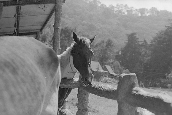 08 Omar Véliz - Ilford FP4 125 Plus por Arca Film Lab (Mayo 2024) - Rollo 0060