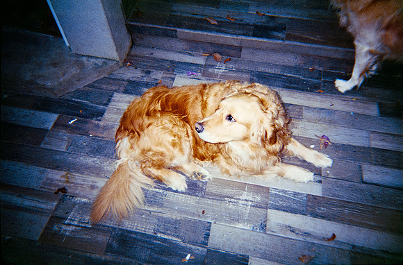 33 María Andrea Santa Cruz - Kodak Ultramax 400 por Arca Film Lab (Diciembre 2024) - Rollo 0550
