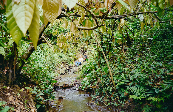 16 Pablo Marroquín - Fujifilm 400 por Arca Film Lab (Marzo 2025) - Rollo 0842