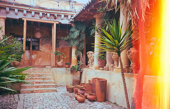 19 Jazmine Sousa - Kodak Ultramax 400 por Arca Film Lab (Julio 2024) - Rollo 0202