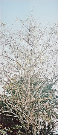 10 Natalia Mendoza - Kodak Aerocolor IV por Arca Film Lab (Abril 2025) - Rollo 0928