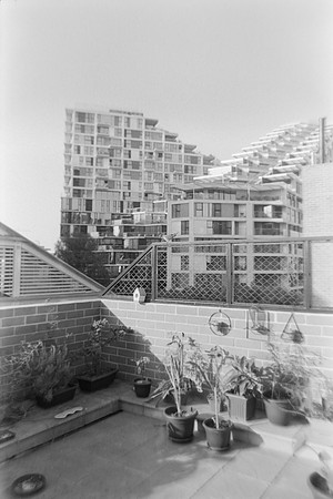 03 Durden - Kodak 400TX por Arca Film Lab (Mayo 2024) - Rollo 0073