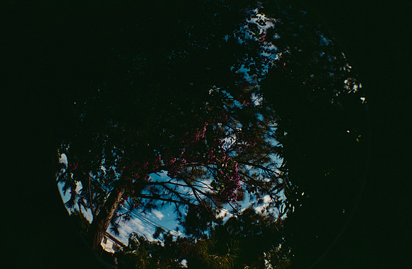 28 Natalia Mendoza - Cinestill 400D por Arca Film Lab (Marzo 2025) - Rollo 0805