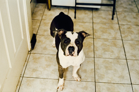 07 Carlos Cabrera - Kodak Ultramax 400 por Arca Film Lab (Marzo 2025) - Rollo 0788