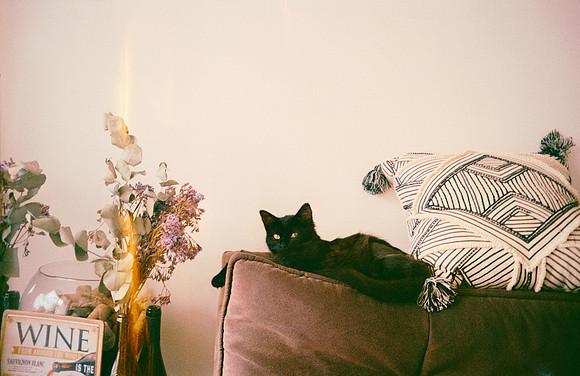 33 Jazmine Sousa - Kodak Gold 200 por Arca Film Lab (Marzo 2025) - Rollo 0847