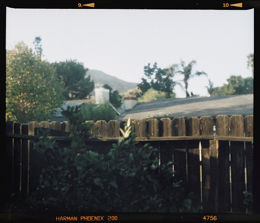05 Mauricio Salguero - Harman Phoenix 200 - 120 por Arca Film Lab (Noviembre 2024) - Rollo 0497