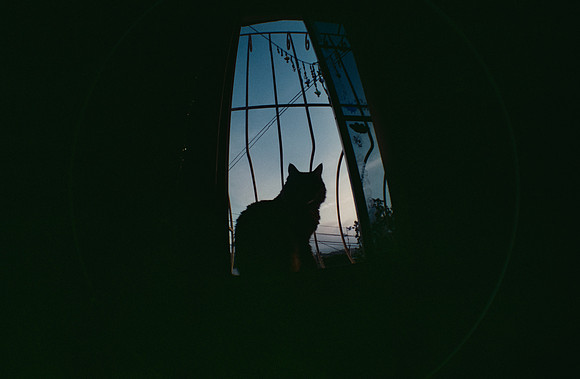 37 Natalia Mendoza - Cinestill 400D por Arca Film Lab (Marzo 2025) - Rollo 0805