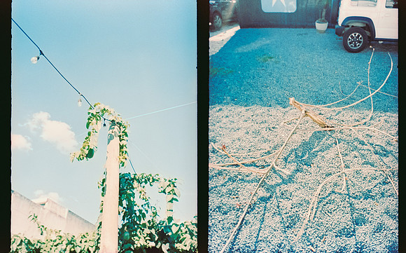 36 Roberto Samayoa - Fujifilm Provia 100F por Arca Film Lab (Mayo 2025) - Rollo 1002