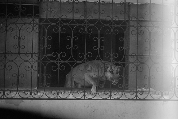20 Iván Ortíz - Fomapan 100 Push 400 por Arca Film Lab (Abril 2024)