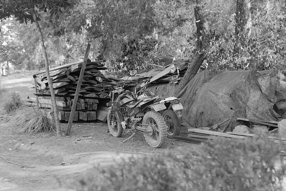 19 Omar Véliz - Ilford FP4 125 Plus por Arca Film Lab (Mayo 2024) - Rollo 0060