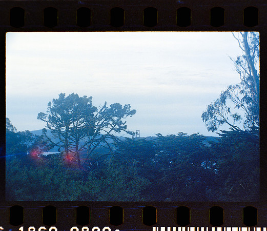 27 Fernanda Gonzáles - Reflx Lab 800T Push 3200 por Arca Film Lab (Mayo 2024) - Rollo 0049