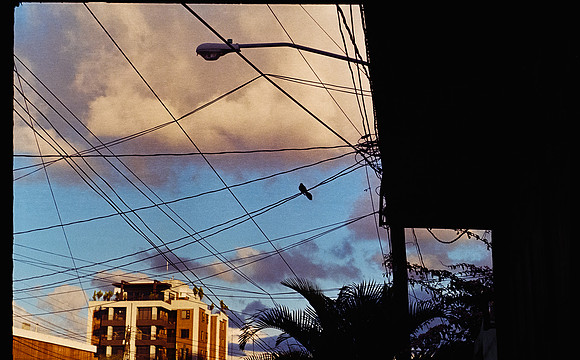 04 Erick Galindo - Kodak Ultramax 400 por Arca Film Lab (Febrero 2025) - Rollo 0769