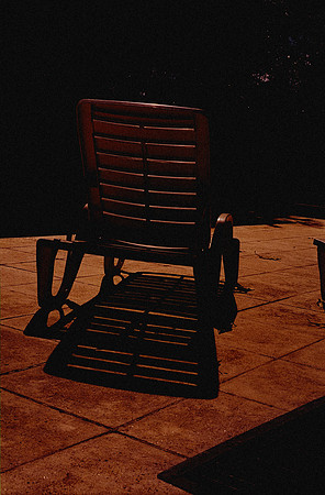 04 Alexander Daum - Fujifilm 200 por Arca Film Lab (Diciembre 2024) - Rollo 0559