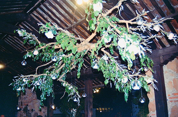 30 Sensia Studio - Fujifilm 400 por Arca Film Lab (Mayo 2025) - Rollo 0997