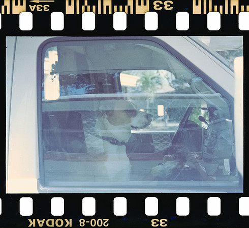 31 Rodrigo Gonzalez - Kodacolor 200 por Arca Film Lab (Junio 2025) - Rollo 1117