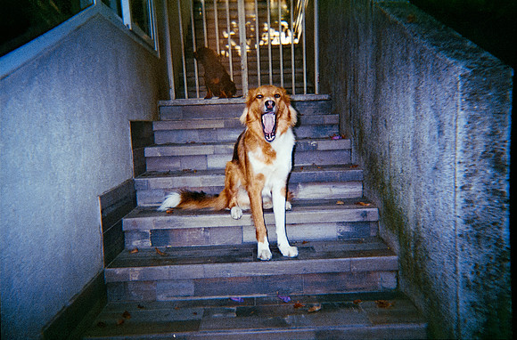 32 María Andrea Santa Cruz - Kodak Ultramax 400 por Arca Film Lab (Diciembre 2024) - Rollo 0550