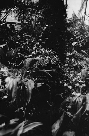 08 Ovald Barrientos - Fomapan 100 por Arca Film Lab (Marzo 2025) - Rollo 0856