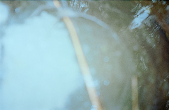 29 Javier Díaz - Kodak Gold 200 por Arca Film Lab (Febrero 2025) - Rollo 0721