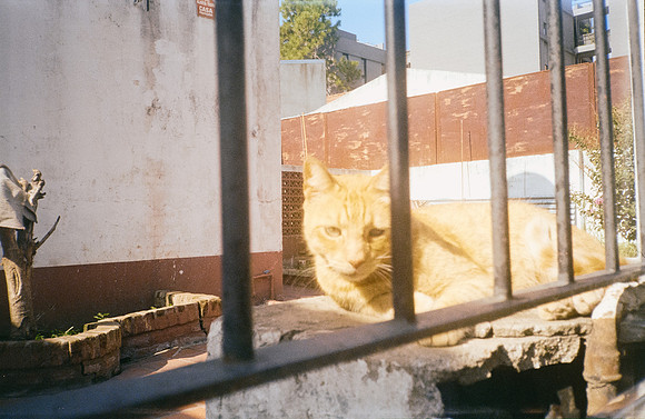 12 Mai Vidaurre - Fujifilm 400 por Arca Film Lab (Mayo 2025) - Rollo 1004