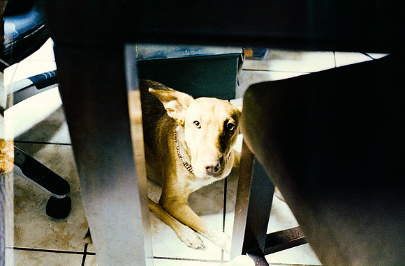 37 Carlos Cabrera - Kodak Ultramax 400 por Arca Film Lab (Marzo 2025) - Rollo 0788