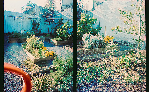 33 Roberto Samayoa - Fujifilm Provia 100F por Arca Film Lab (Mayo 2025) - Rollo 1002