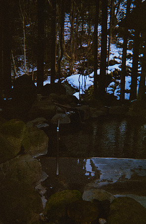 23 Loren Giordano - Fujifilm 400 por Arca Film Lab (Mayo 2025) - Rollo 1044
