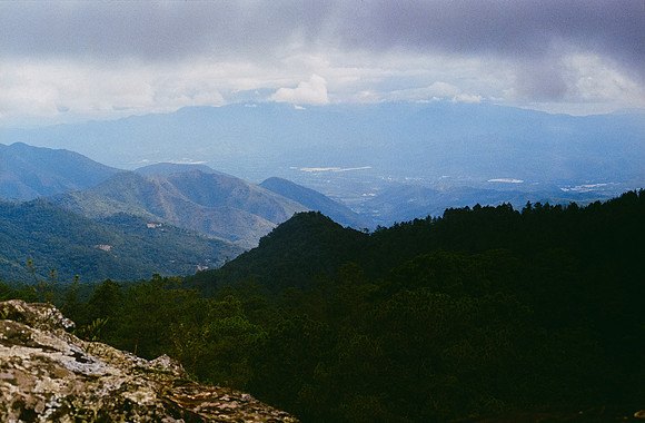 20 Ricardo Paz - Kodak Ultramax 400 Push 1600 por Arca Film Lab (Abril 2025) - Rollo 0973