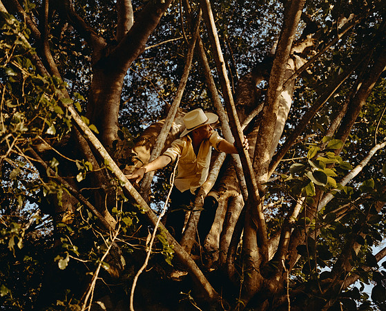 08 Carlos Siri - Kodak Portra 400 por Arca Film Lab (Mayo 2025) - Rollo 1009