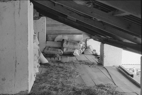 10 Omar Véliz - Ilford FP4 125 Plus por Arca Film Lab (Mayo 2024) - Rollo 0060