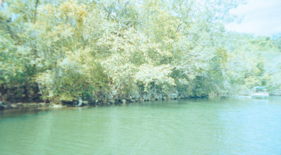 05 Alexander Daum - Kodak Gold 200 por Arca Film Lab (Abril 2025) - Rollo 0899