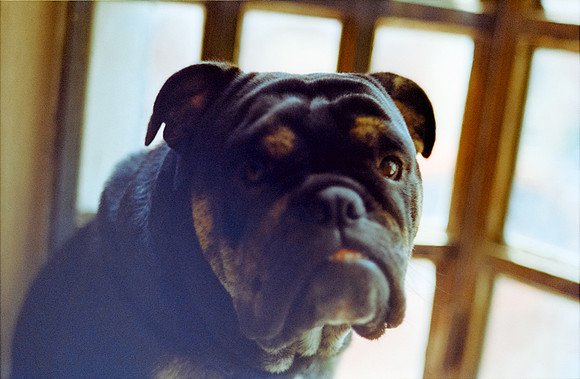 10 Karen Orellana - Kodak Ultramax 400 por Arca Film Lab (Julio 2024) - Rollo 0181