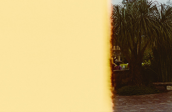 01 Milton Recinos - Kodak Portra 800 por Arca Film Lab (Junio 2025) - Rollo 1106
