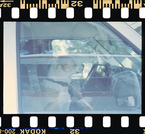 30 Rodrigo Gonzalez - Kodacolor 200 por Arca Film Lab (Junio 2025) - Rollo 1117