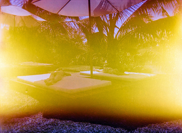 37 Yuliana Palomo - Fujifilm 200 por Arca Film Lab (Mayo 2024) - Rollo 0064