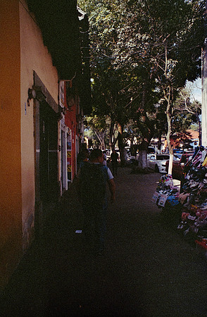 29 José David Fuentes - Kodak Portra 400 por Arca Film Lab (Diciembre 2024) - Rollo 0537