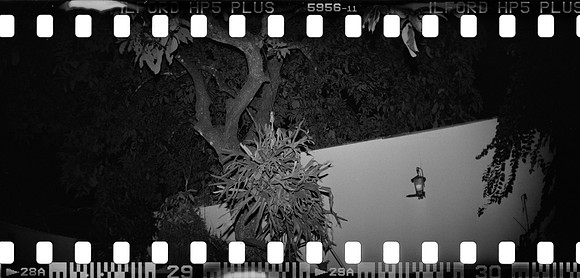 12 Mauricio Salguero - Ilford HP5+ 400 por Arca Film Lab (Abril 2025) - Rollo 0921