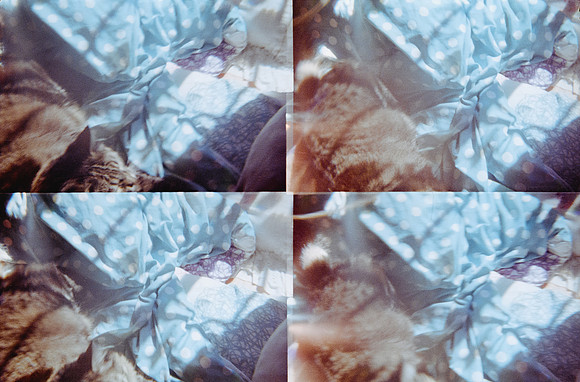 07 Natalia Mendoza - Kodak Gold 200 por Arca Film Lab (Marzo 2025) - Rollo 0807