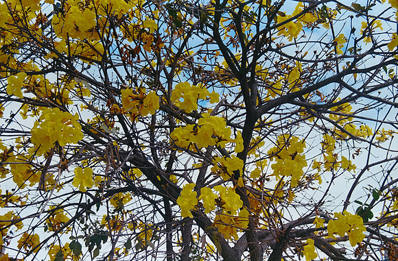 10 Diana Roca - Fujifilm 400 por Arca Film Lab (Mayo 2025) - Rollo 1051