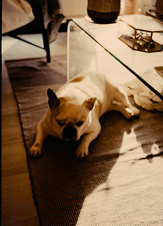 74 Steve Palma - Fujifilm 400 por Arca Film Lab (Enero 2025) - Rollo 0628