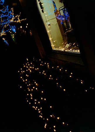 03 Steve Palma - Fujifilm 400 por Arca Film Lab (Enero 2025) - Rollo 0628