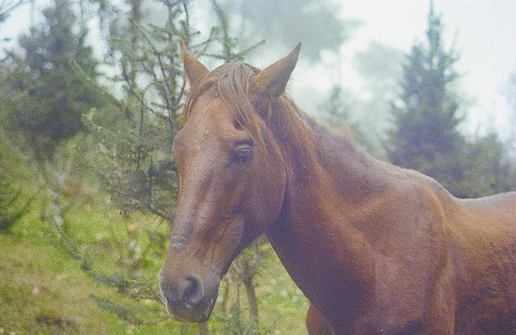 17 Andrés Mazariegos - Kodak Ultramax 400 por Arca Film Lab (Noviembre 2024) - Rollo 0517
