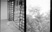 01 Natalia Mendoza - Kentmere Pan 400 por Arca Film Lab (Junio 2025) - Rollo 1123