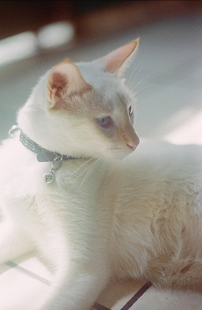 37 Abraham Castillo - Fujifilm 400 por Arca Film Lab (Junio 2025) - Rollo 1118