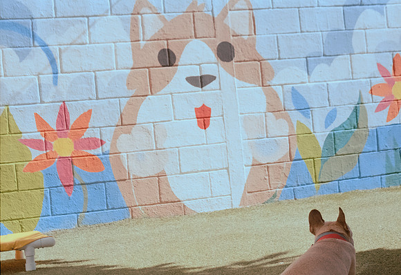 17 Denis Guerrero - Kodak Gold 200 por Arca Film Lab (Agosto 2024) - Rollo 0296