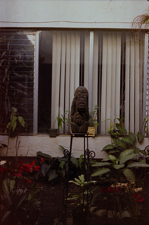 53 Pablo Josué Noack - Cinestill 800T por Arca Film Lab (Mayo 2024) - Rollo 0075