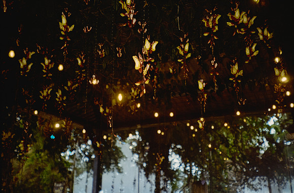 04 Rodrigo González - Kodak Gold 200 por Arca Film Lab (Junio 2025) - Rollo 1116