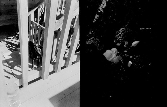 10 Melissa Paises - Ilford HP5+ 400 por Arca Film Lab (Febrero 2025) - Rollo 0686