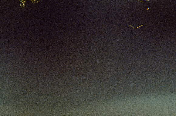 12 Zulma Rodríguez - Cinestill 800T por Arca Film Lab (Enero 2025) - Rollo 0604