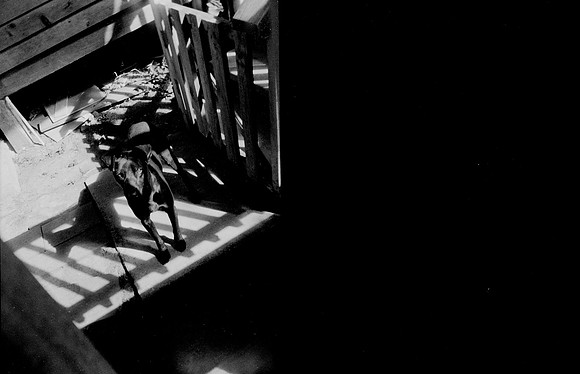 07 Melissa Paises - Ilford HP5+ 400 por Arca Film Lab (Febrero 2025) - Rollo 0686