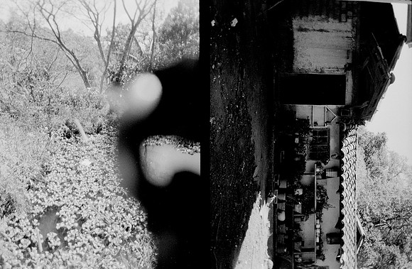 23 Melissa Paises - Ilford HP5+ 400 por Arca Film Lab (Febrero 2025) - Rollo 0686